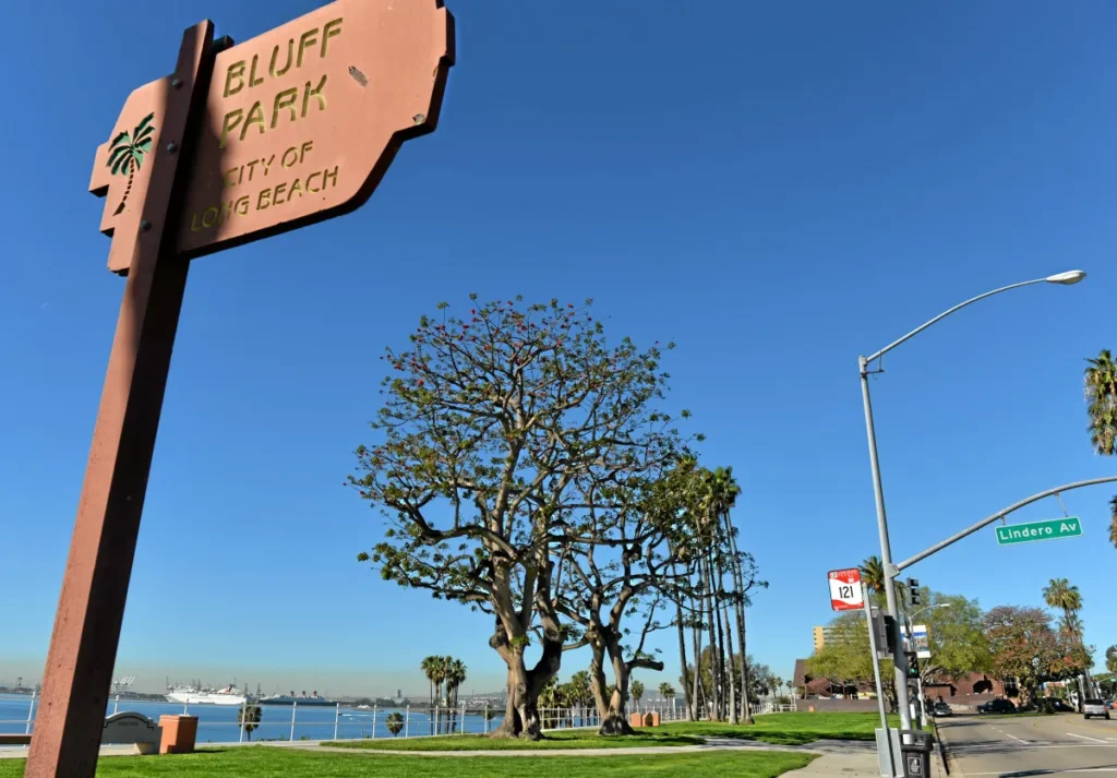 Bluff Park Best Things to Do in Long Beach