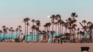 Things To Do In Santa Monica