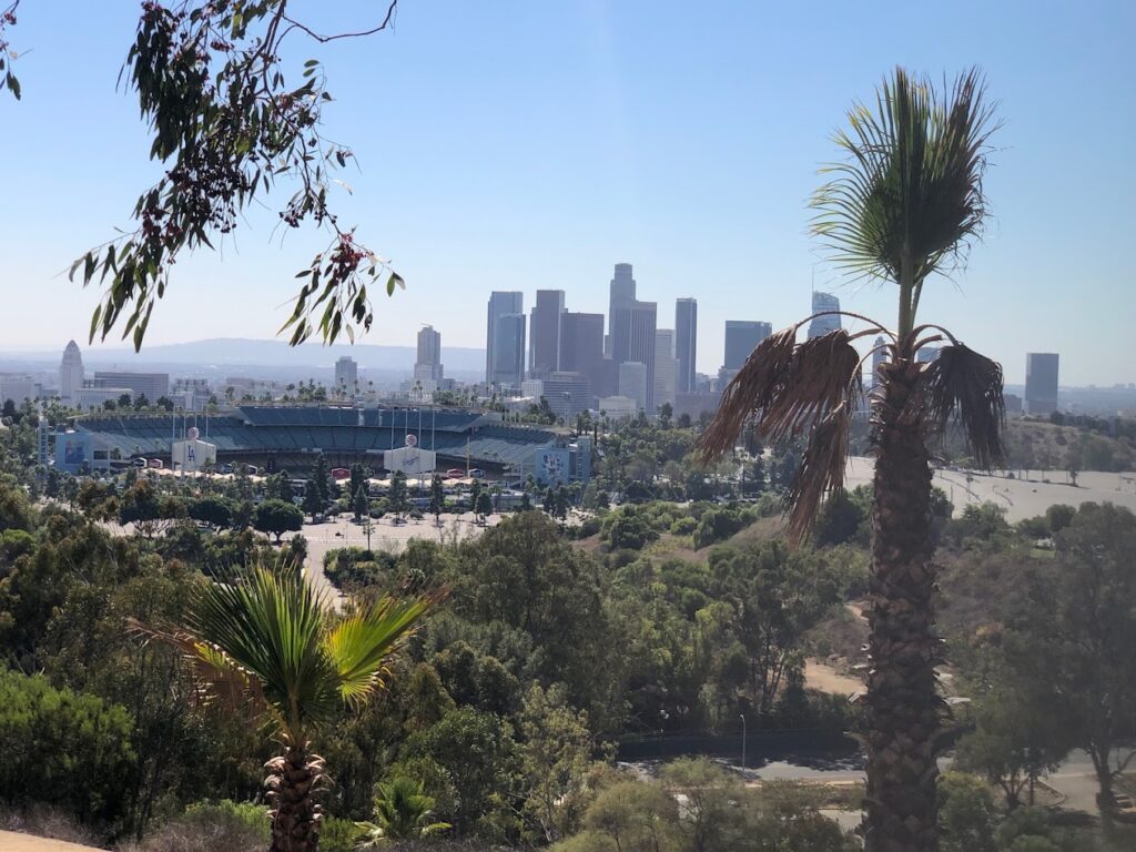 Easy Hikes In Los Angeles Elysian Park 